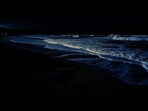 Calm Ocean Sounds for Sleeping | Sleep, Study & Relax | Dark Screen | 24 Hour