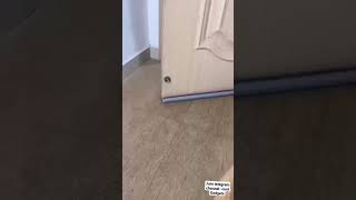 Cool gadgets!😍Smart Home appliances,💪🙏 #usa  #smarthomegadget #shorts