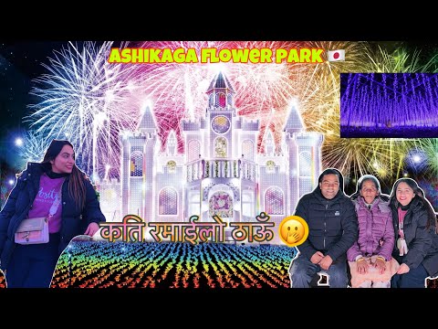 Best Time To Visit Ashikaga Flower Park | Ashikaga Flowr Park In Japan | Enjoying With Family 🇯🇵