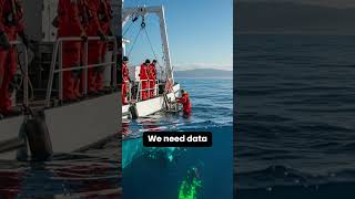 Data is power. 📉🌊