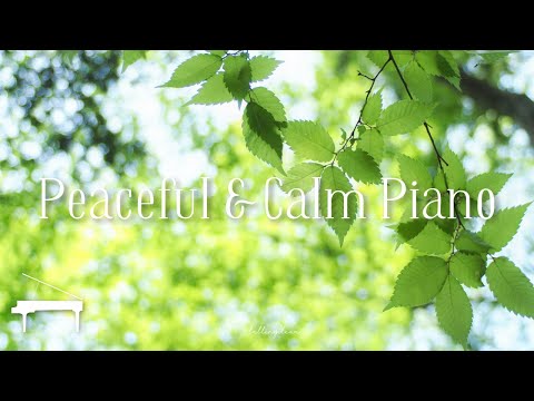 2 Hours of Peaceful & Calm Piano Music (Perfect for Relaxing, Reading, Sleeping)