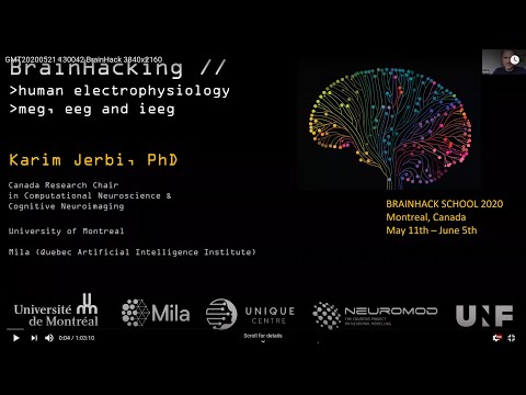 Introduction to human electrophysiology (MEG, EEG, iEEG)