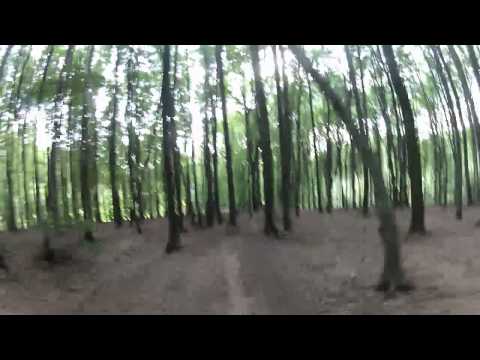 MTB Trail Odenwald Bergstraße GoPro 2