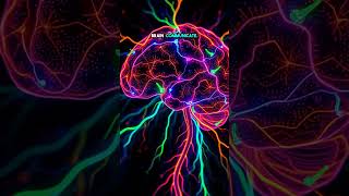 Inside the Brain: The Magic of Fluorescent Dyes, #BrainScience #FluorescentDyes #Neuroscience