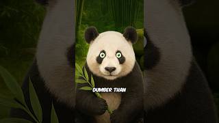 Why Pandas are dumb