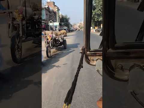 Dunki #viral short #viral video