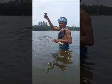 জীবনের গল্প #bengalicrimeseries #story #love #bengaliwebseries #পরিহাস #bengalicrimestories #movie