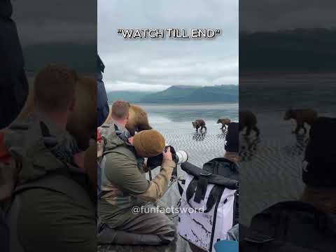 Don't click the sound