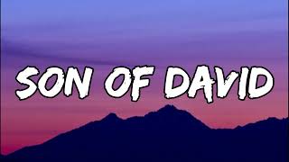 Son Of David lyrics Audio   Hillsong Worship lyrics Jesus The Truth1