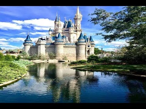 How to Access Disney Hub on Mobile Without Using PC | Login Disney Hub on Mobile