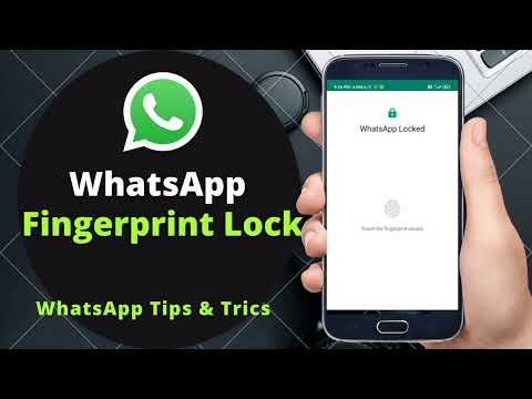 How To Enable Fingerprint Lock on WhatsApp | WhatsApp Tips and Tricks