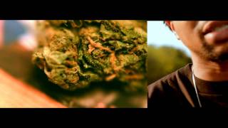 Team Highgrade, "Highgrade" // Music Video