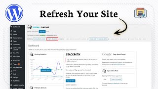How to clear the WordPress cache ShareExportEmbed