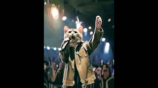Cat singing#shortviralvideo##viralcatsong#november2024