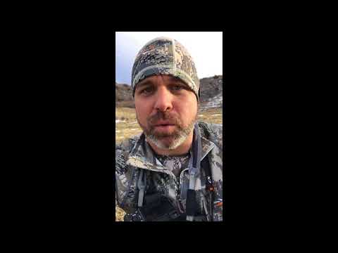 Coyote and Bobcat strategy for the winter "Off Season".