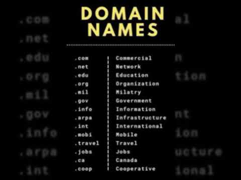 DOMAIN NAMES #domainnames #domainnamesystem #shorts