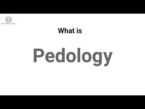 What is Pedology? Write Your Answers And Opinions In The Comment Box.