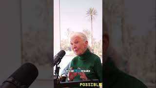 Jane Goodall's Tech Journey: From Handwritten Notes to Satellites!