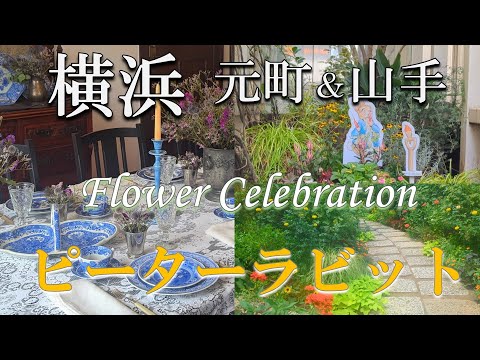【横浜散歩】ピーターラビット🥕ポンパドウル本店lunch🍝Flower Celebration元町&山手を巡る🐰