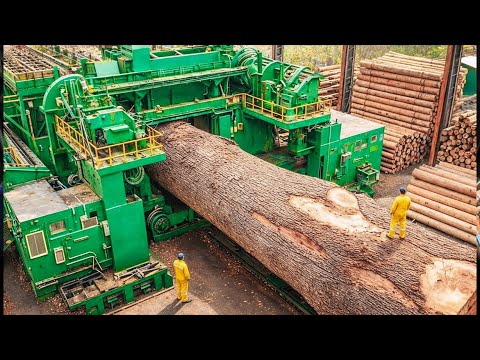 Inside the Largest Wood Sawmill Factory - How Plywood Is Made From Logs to Table (Full Process)