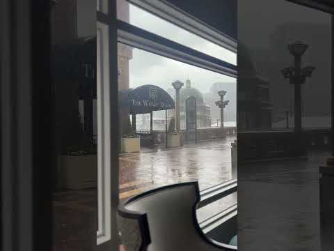 #rain #boston #rainyweather