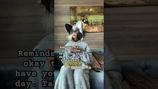 It’s okay. Just take good care of yourself #chillday #youmatter #furry #mentalhealth #scene #therian