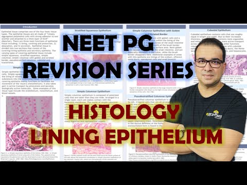 Lining Epithelium - Histology