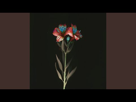 Inkeri (Aparde Remix)