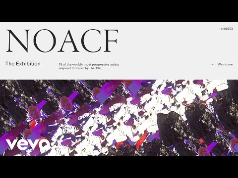 The 1975 - Bagsy Not In Net (Visualiser)