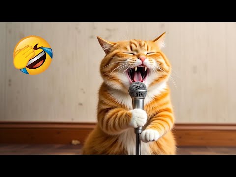 Crazy animals will sure make you laugh uncontrollably 😂