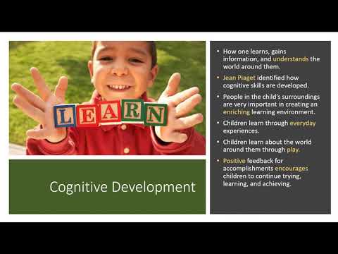Areas of Development Lesson Child Development