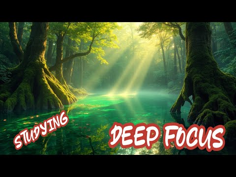🧠 Calm & Steady Study Music | Focus & Get Things Done | Deep Focus