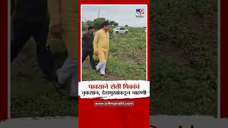 Beed |  पावसाने शेती पिकांचं नुकसान, Rajesaheb Deshmukh यांनी केली पाहणी