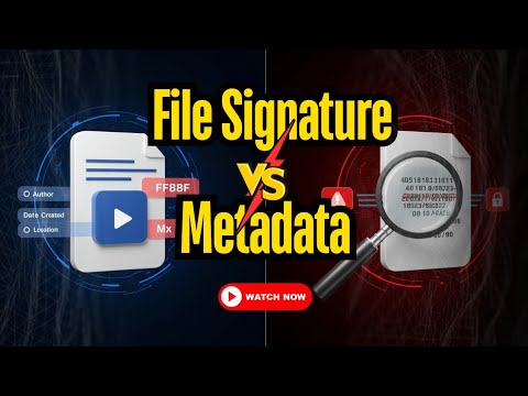 File Signature VS. Metadata  ||  Understand the difference