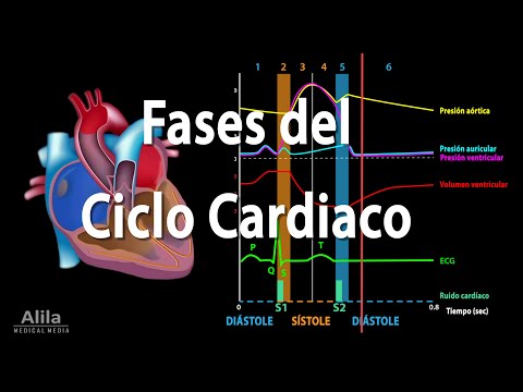 Cardiac Cycle Phases and the Wiggers Scheme, Animation. Alila Medical Media Español.