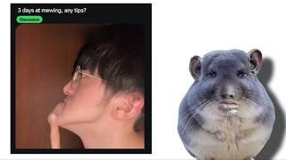 CaldrukiShots #35 🥀 - Random Screenshots Out of Context