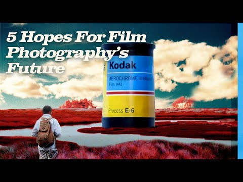 The Future Of Film Photography