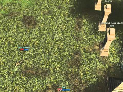 Lineage 2 - Siege 1 (Broadcasting Tower)