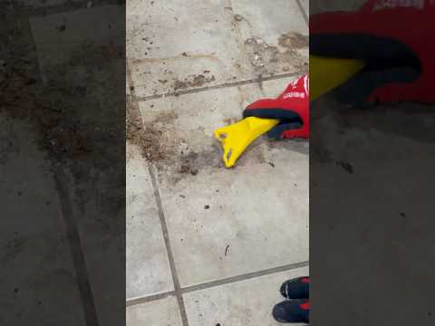 If you don’t have a window scraper, do you even go here? #cleaninghacks #windowscraper #googone