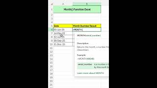 Month Excel Function | Month Serial Number Excel #month #excel #excelfunctions #exceltips #learn