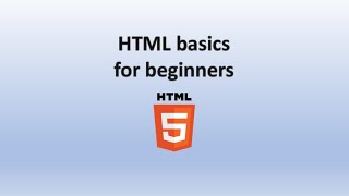 HTML basics for beginners