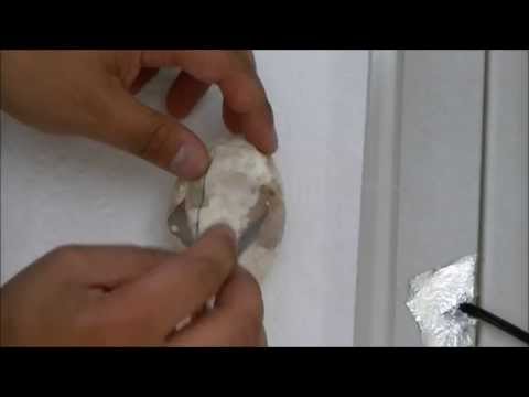 Bad Ball Python Egg. Bad Egg