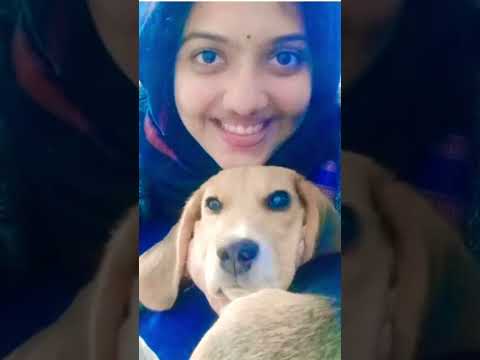 ias Srushti Jayant Deshmukh apne mahbub sanam ko song #reels #shortvideo #ias #status #oldisgold