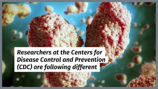 Monkeypox Virus - News