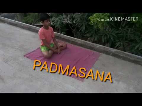PadmasaN