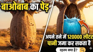 बाओबाब पेड़ के रोचक तथ्य ! Baobab Tree Fun Facts in Hindi !