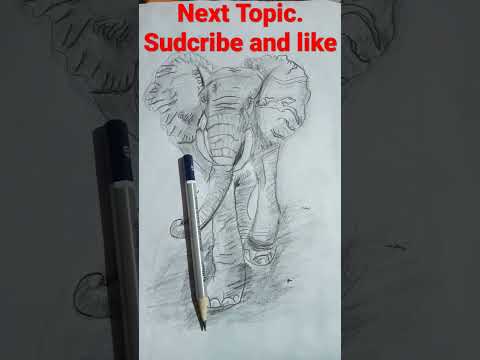 Elephant sketch/Sketchking
