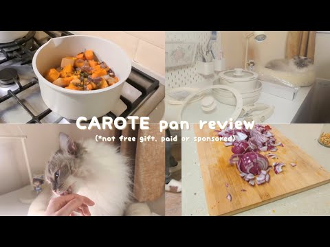 CAROTE pan review/ vlog ~ unboxing, cooking with a kitty