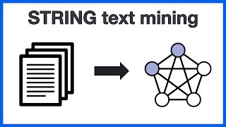 STRING text mining: A deeper dive into the corpus, named entity recognition, and relation extraction