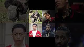 LEGENDS SAD EDIT #xxxtentacion #nipseyhussle #harambee #nottiosama #nostalgia #sadedit #sadedit #rip